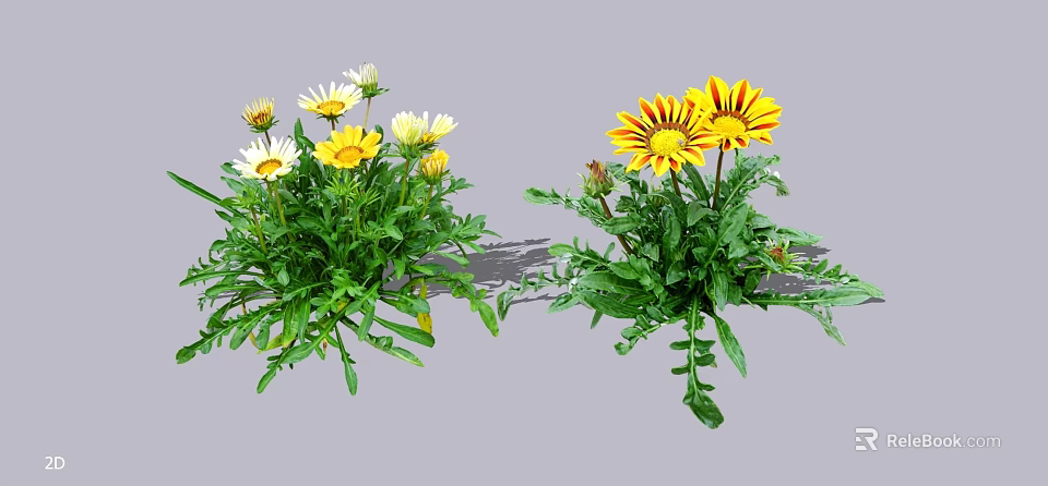 Flower Plants Featuring White Yellow Daisies And Yellow Orange Blooms With Green Leaves 3d model 