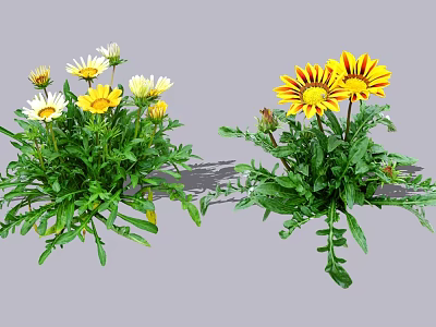 Flower Plants Featuring White Yellow Daisies And Yellow Orange Blooms With Green Leaves 3d model