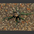 Wooden Tree Trunk with Roots on Stone Base Decorated with Fallen Leaves and Natural Texture