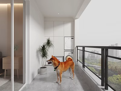 Modern Home Balcony With Shiba Inu Dog White Cabinets Potted Plant And Glass Railing 3d model