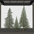 Modern Pine Garden View Pine 3d model