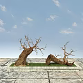 Natural Stone Pavement With Dry Tree Trunks In Green Rectangular Area Under Blue Sky 3d model