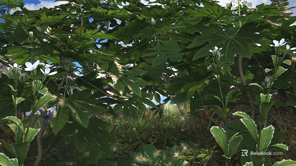 Shrub with Lush Green Leaves in Natural Garden Setting with Sunlight and Blue Sky Background 3d model 