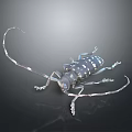 Detailed Dark Beetle With Long Antennae And White Spots On Reflective Background