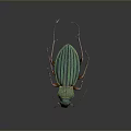 Vibrant Green Metallic Beetle With Striped Carapace On Dark Background Detailed Closeup