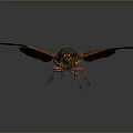 Cicada with Spread Transparent Wings Featuring Intricate Patterns and Metallic Brown Body 3d model