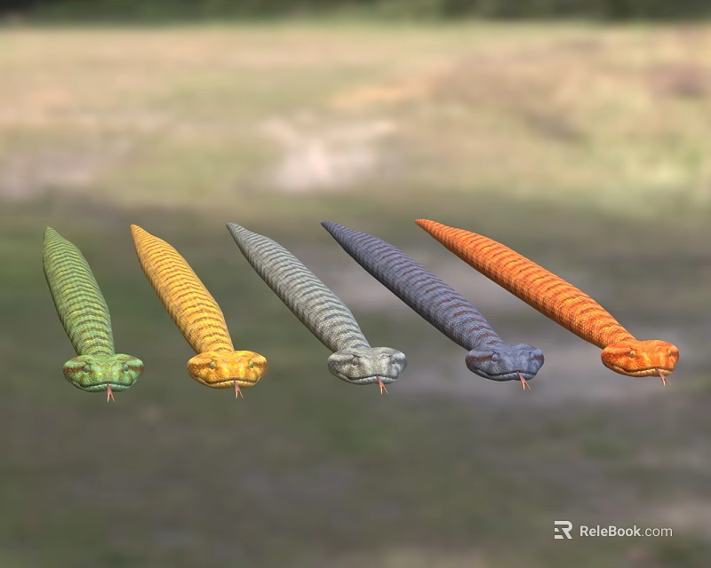 Five Different Colored Reptile Snakes Green Yellow Gray Dark Blue Orange on Grass Background 3d model 