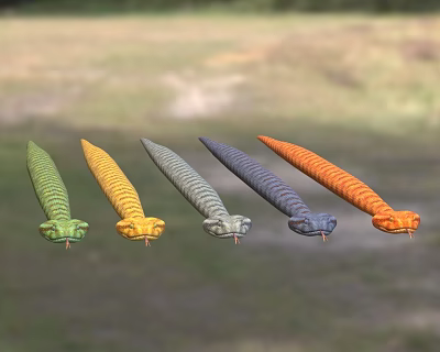 Five Different Colored Reptile Snakes Green Yellow Gray Dark Blue Orange on Grass Background 3d model