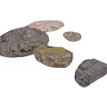 Wood and Stone Natural Decorative Pieces with Various Shapes and Textures
