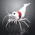White Shrimp With Red Section Long Antennae And Legs On Black Background