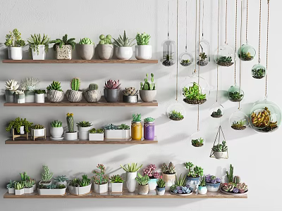 Various Bonsai and Potted Succulents on Layered Shelves with Hanging Glass Planters 3d model