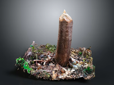 Natural Tree Stump With Candle Like Flame Surrounded By Soil Dry Leaves And Green Plants 3d model