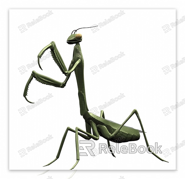 Modern Mantis model