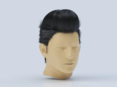 Game and Movie Character Black Spiky Hairstyle Design on Mannequin Head 3d model