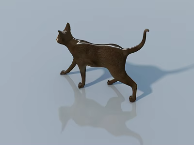 Brown Cat With White Stripes Walking On Light Blue Surface With Reflection And Shadow 3d model