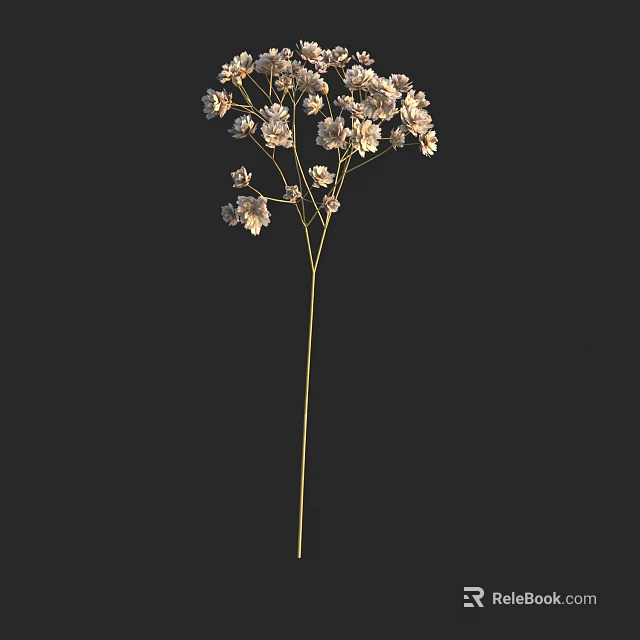 Minimalist Vase With White Small Flowers And Slender Stems On Black Background 3d model 