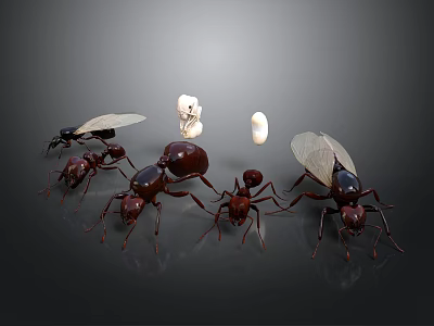 Group of Ants With Different Sizes and White Eggs On Dark Background 3d model