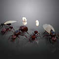 Group of Ants With Different Sizes and White Eggs On Dark Background