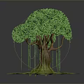 Detailed 3D Model Tree Featuring Brown Trunk Green Canopy and Yellow Aerial Roots