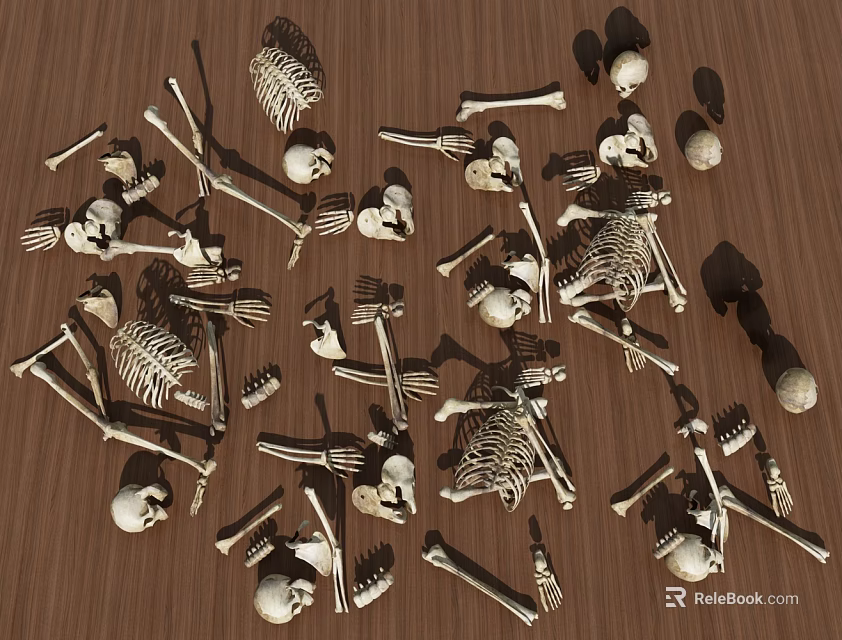Numerous Detailed Human Skeletal Limb Bones Anatomical Models On Wooden Surface 3d model 