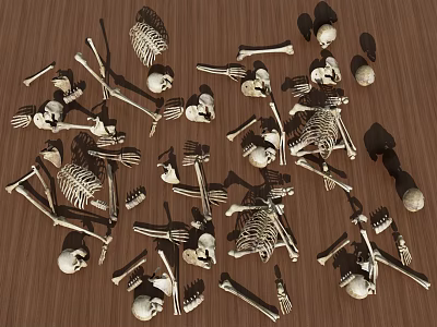 Numerous Detailed Human Skeletal Limb Bones Anatomical Models On Wooden Surface 3d model