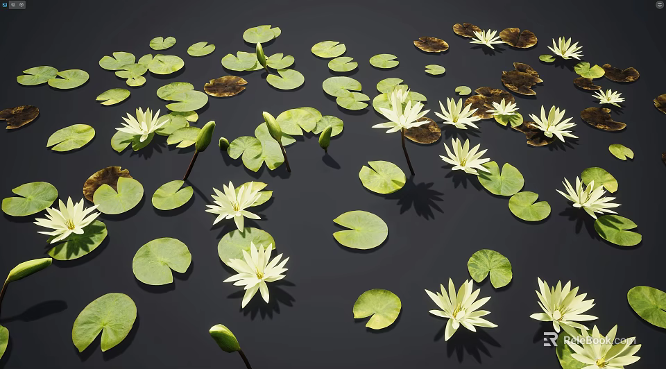 Aquatic Plants White Water Lilies And Green Lily Pads Floating On Dark Water Surface 3d model 