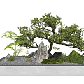 Traditional Garden Landscape With Bonsai Tree Decorative Rocks Green Moss Small Lantern And Gravel