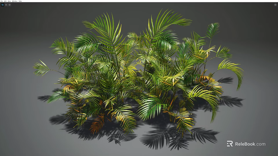 Lush Green And Yellow Palm Leaves With Vibrant Foliage And Natural Shadows 3d model 