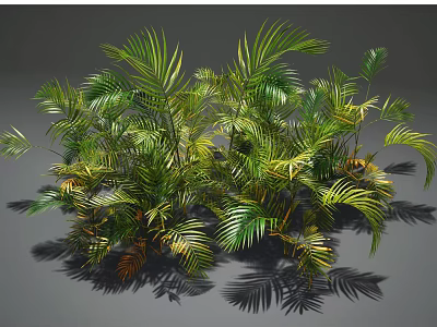 Lush Green And Yellow Palm Leaves With Vibrant Foliage And Natural Shadows 3d model