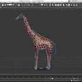 Cartoon Giraffe Three Shading Two Giraffe Toy Cartoon Animal African Animal Low Face Number Low Model Simple Model Video Level Super Realistic 3d model