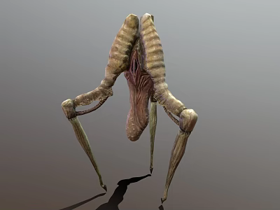 3D Rendered Biomechanical Creature With Segmented Body And Slender Legs 3d model