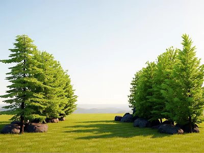 Natural Plant Combination With Tall Green Trees Green Grass And Stones In Open Landscape 3d model