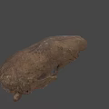 Ancient Fossil Skull With Brown Cracked Surface On Blue Background