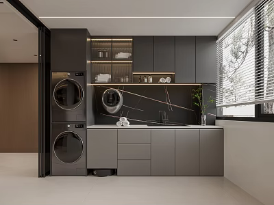 Modern Laundry Room With Gray Cabinets Washing Machine Dryer Window And Potted Plant 3d model