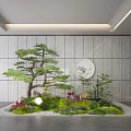 Modern Indoor Garden Display With Pine Tree Green Plants Moss And Pebbles