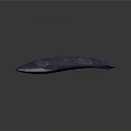 Realistic Blue Whale 3D Model on Dark Background with Sleek Surface Details 3d model