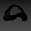 Shark Jaw Fossil With Sharp Teeth On Display In Museum Setting