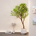 Green Plant Potted Lemon Tree Landscape Tree Potted Plant 3d model