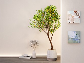 Green Plant Potted Lemon Tree Landscape Tree Potted Plant 3d model