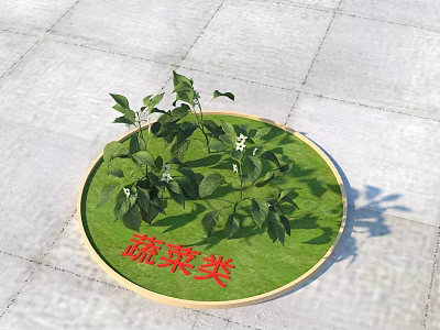 Vegetable Category Display With Circular Green Mat And Fresh Leafy Plants 3d model