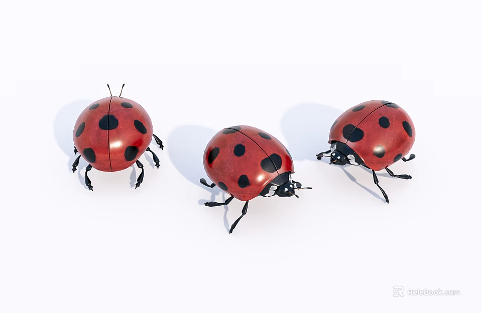Three Red Ladybugs Flying Insects With Black Spots On White Background 3d model