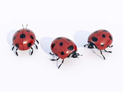 Three Red Ladybugs Flying Insects With Black Spots On White Background 3d model