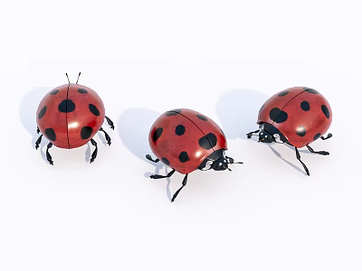 Three Red Ladybugs Flying Insects With Black Spots On White Background 3d model
