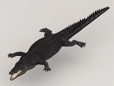 Aquatic Animal Crocodile With Open Mouth Sharp Teeth Black Skin And Swimming Posture 3d model