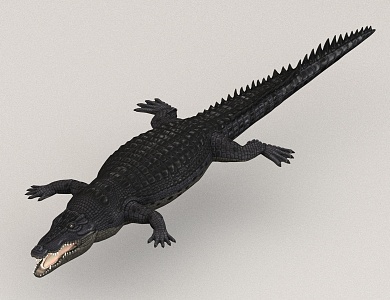 Crocodile Beast 3d model