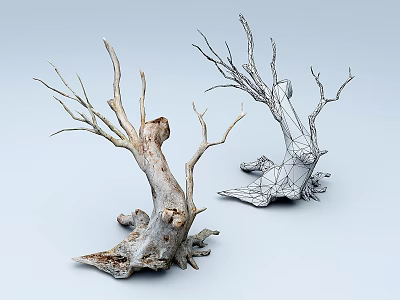 Dry Arbor Tree Trunks With Natural Texture And Wireframe Model Design 3d model