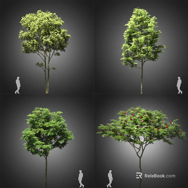 Different Types of Arbor Trees With Green Foliage Red Fruits and Varied Canopies 3d model 
