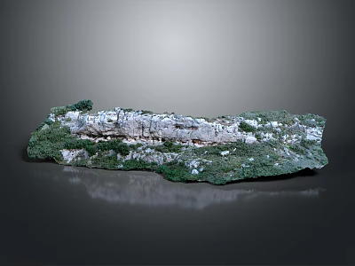 Wood Stone with Green Moss White Spots and Natural Texture on Black Background 3d model