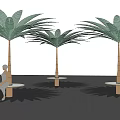 Modern Palm Tree Shaped Outdoor Canopy With Round Tables And Leisure Area