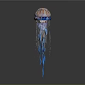 Colorful Jellyfish With Red And White Striped Body And Blue Tentacles On Gray Background